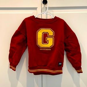 HARRY POTTER Kids Gryffindor Sweatshirt, 6/7